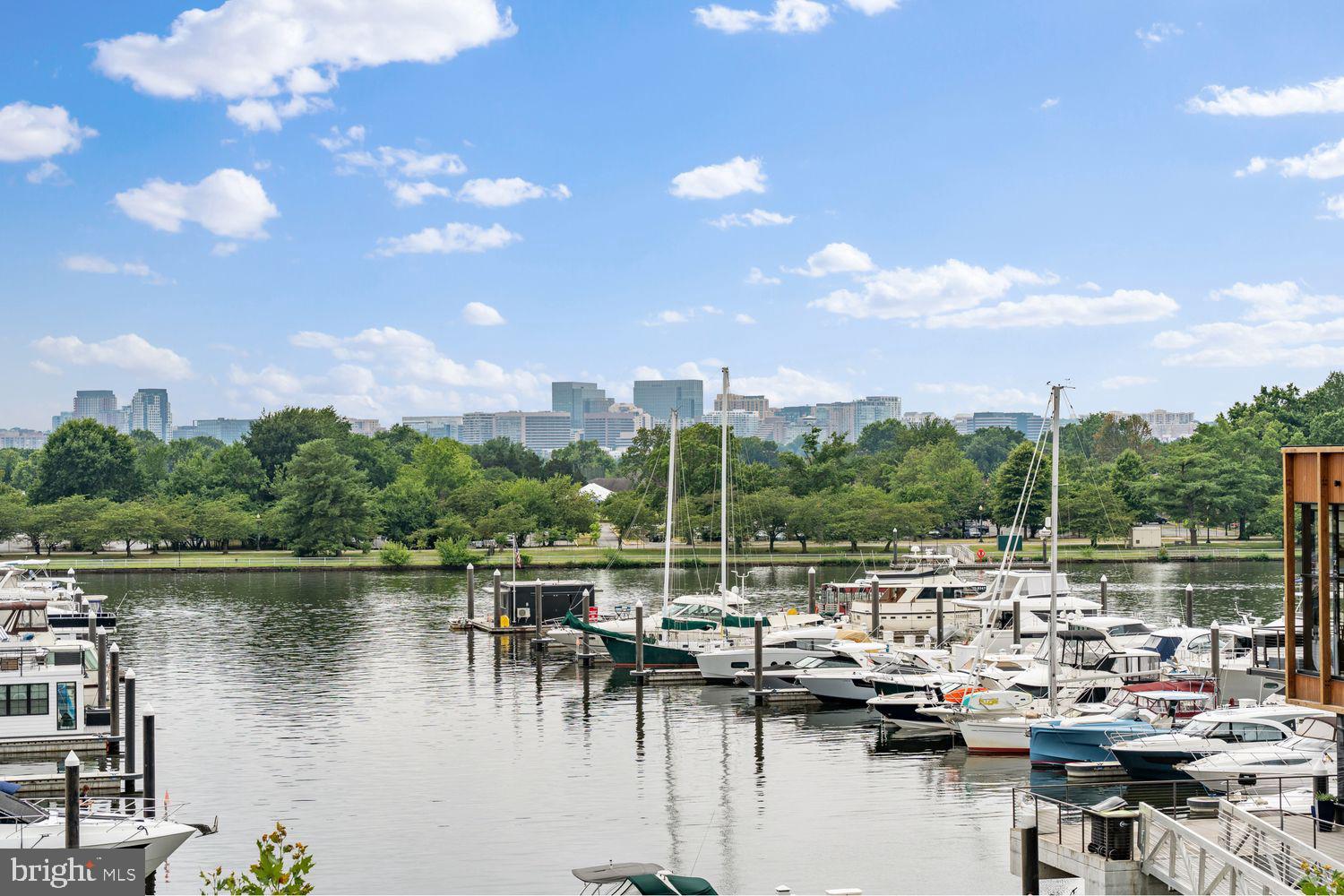 601 Wharf Street Southwest, Unit 301 Washington, DC 20024 - Photo 50 of 53 a view of water with boats and trees in the background