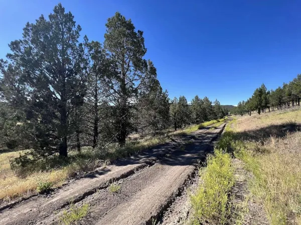 $6,950 | 639 Pheasant Drive, Alturas, CA 96101