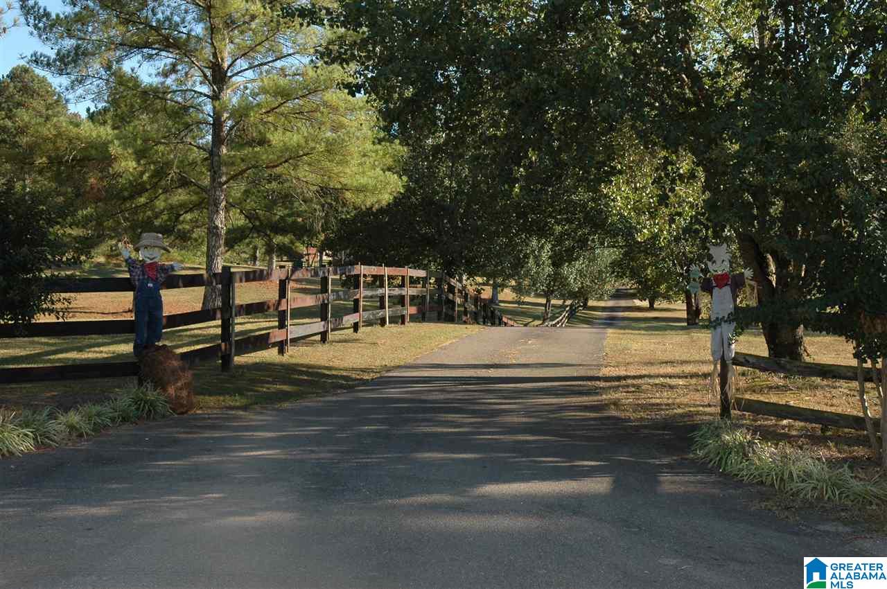 8335 Clayton Road Springville, AL 35146 - Photo 10 of 50