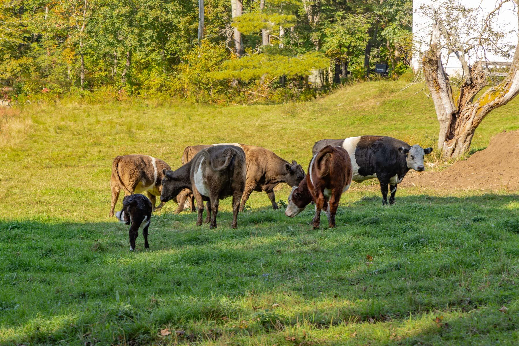 68-70 Brixham Road Eliot, ME 03903 - Photo 47 of 48 47