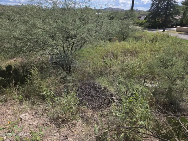 $79,900 | Tbd North Camino Rebecca, Unit 17, Nogales, AZ 85621