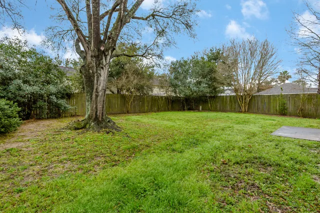 a view of a yard with a tree