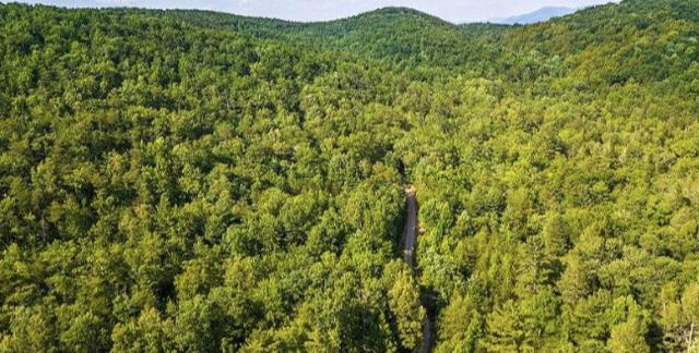 Lot 3 Tellico Reliance Road Reliance, TN 37369 - Photo 3 of 5 Tellico Reliance 2