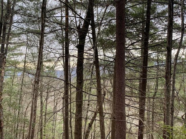 Lot 3 Tellico Reliance Road Reliance, TN 37369 - Photo 5 of 5 Tellico Reliance 4