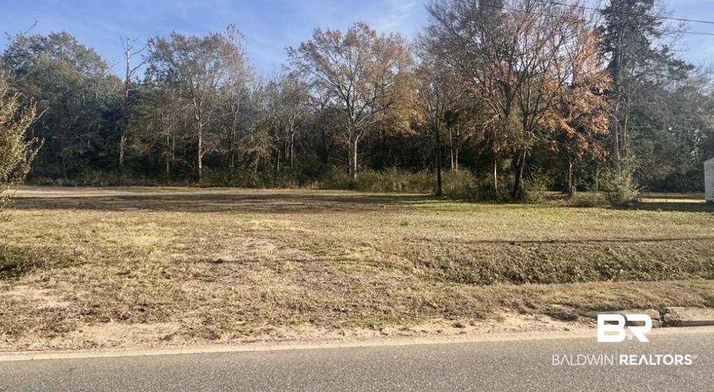 3083 South Alabama Avenue Monroeville, AL 36460 - Photo 7 of 19