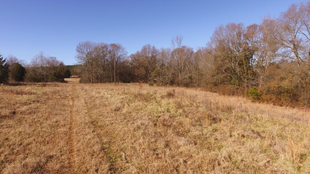 0 Travis Road Starr, SC 29684 - Photo 1 of 8