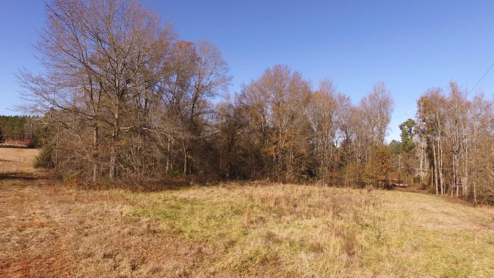 0 Travis Road Starr, SC 29684 - Photo 3 of 8