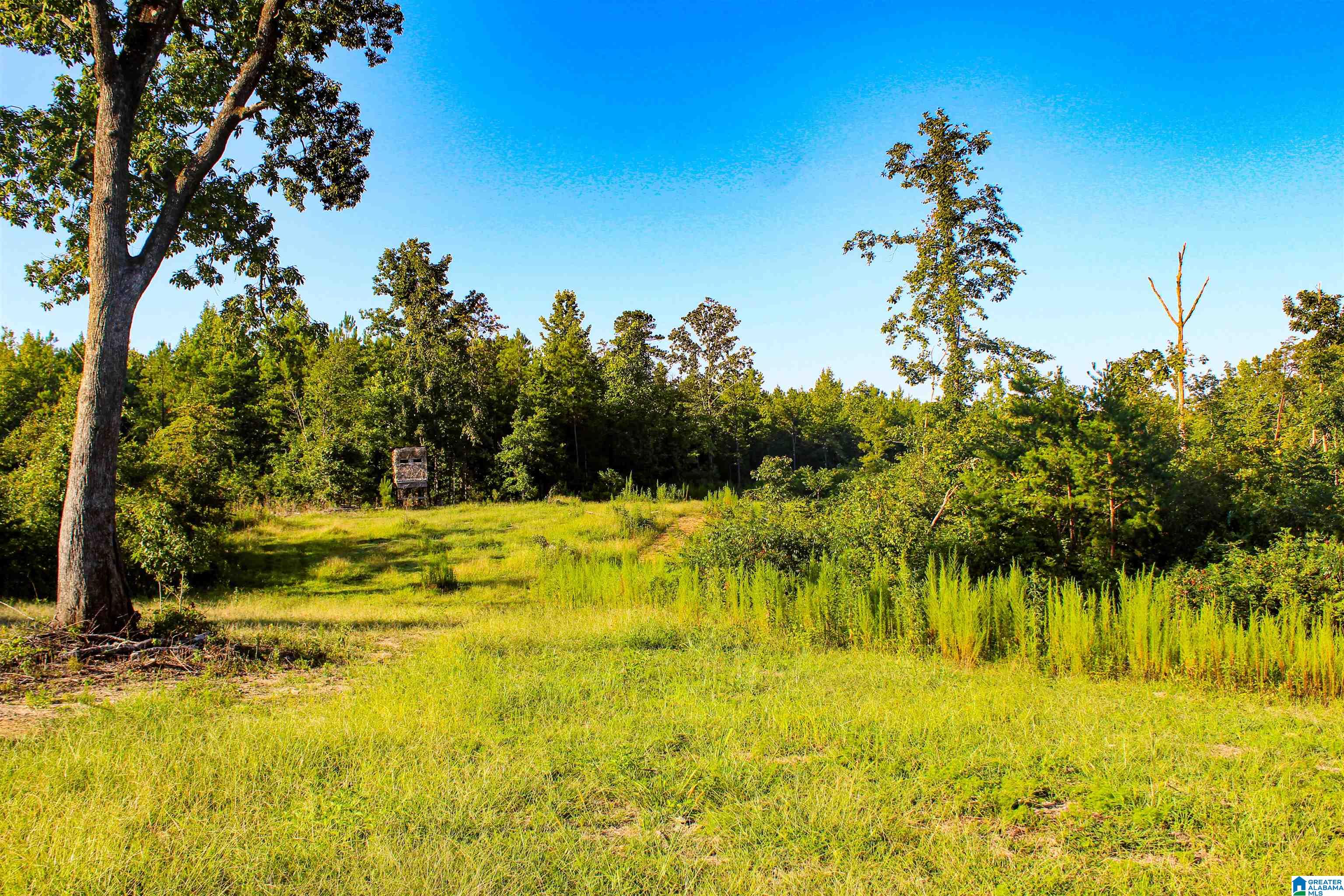 Bonner Drive, Unit 1 Berry, AL 35546 - Photo 19 of 56