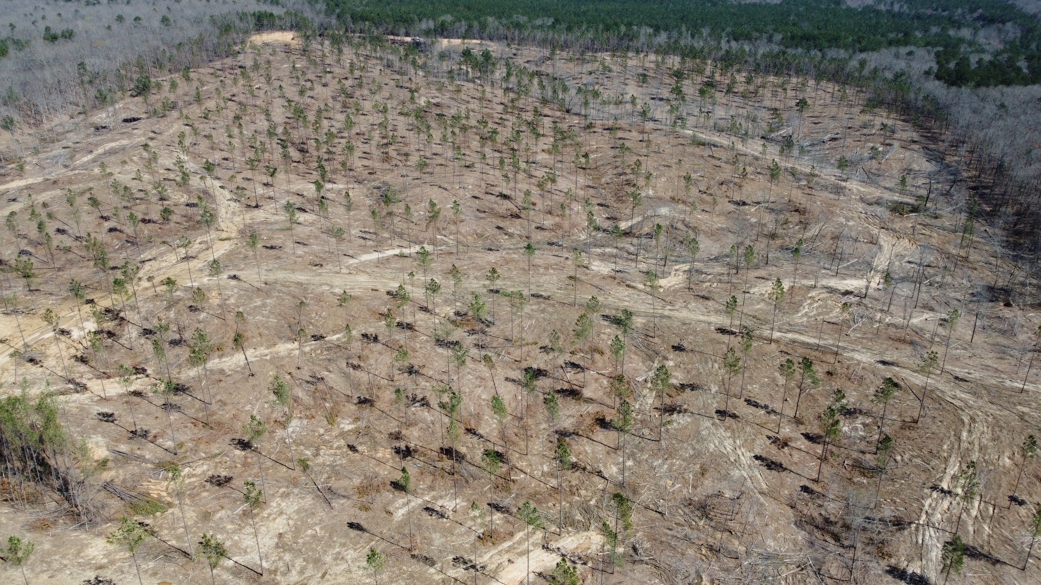 a close up of a white marble wall