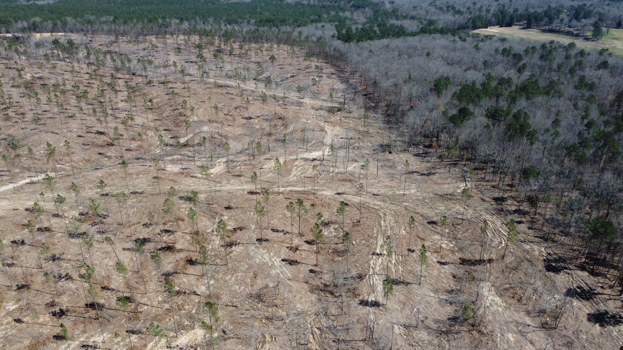 1 George Walter Road Bolivar, TN 38008 - Photo 16 of 16