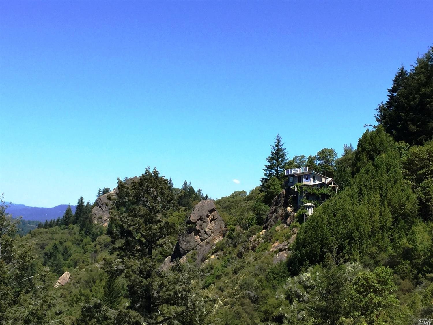 3380 Williams Ranch Road Willits, CA 95490 - Photo 1 of 1 a view of a tree with a tree in the background