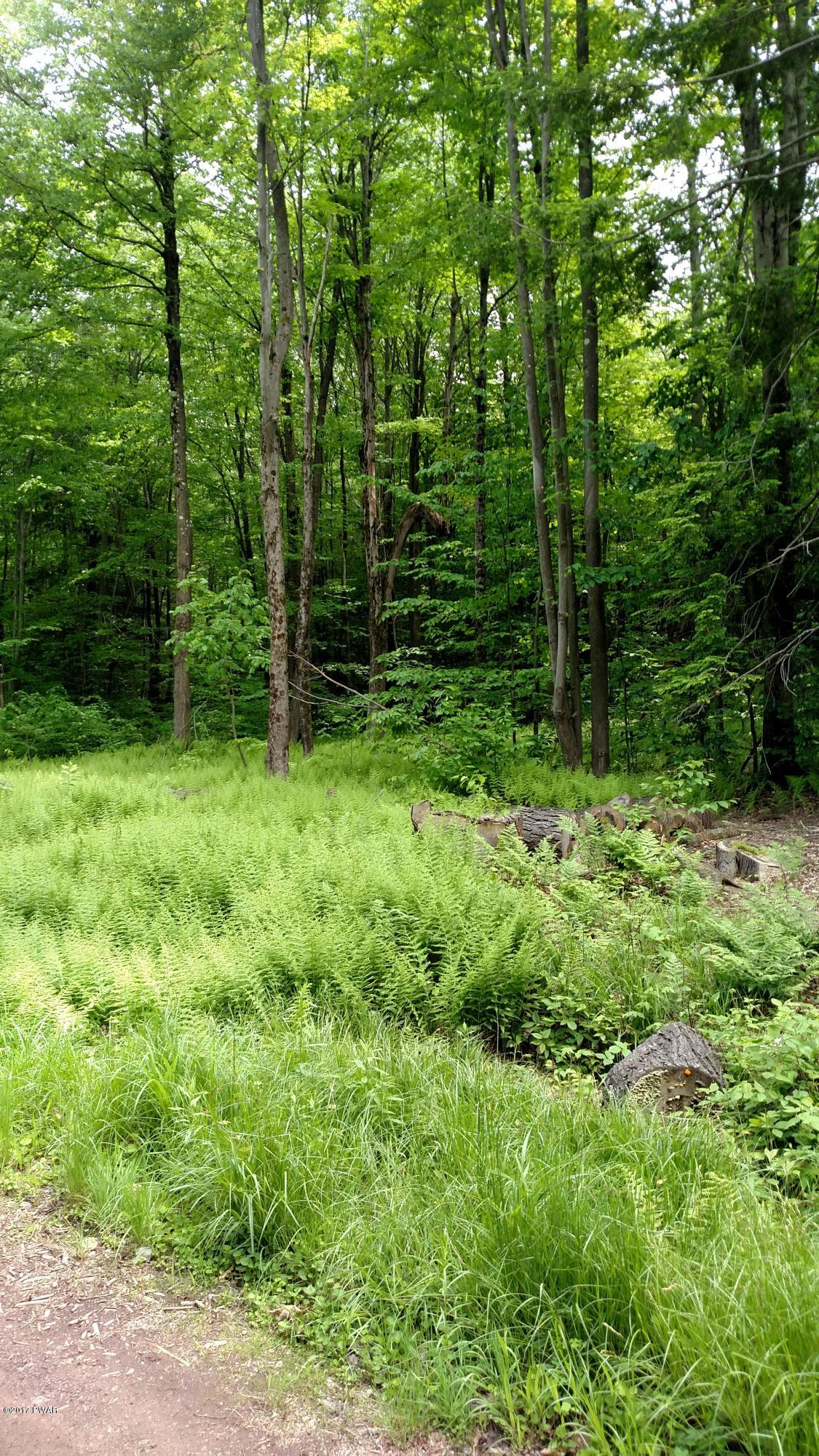 Cabin Road Honesdale, PA 18431 - Photo 2 of 3