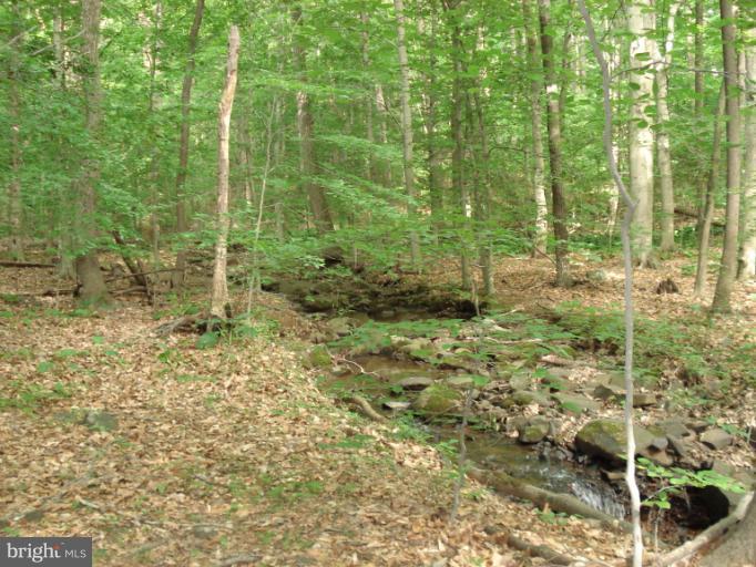 12224 Jerusalem Road Kingsville, MD 21087 - Photo 30 of 30 Stream
