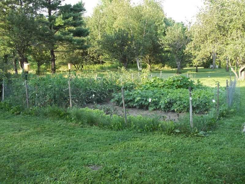334 Allen Hill Road Oxford, ME 04270 - Photo 9 of 29 Other. Garden