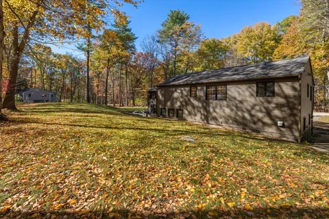 a view of a backyard with trees