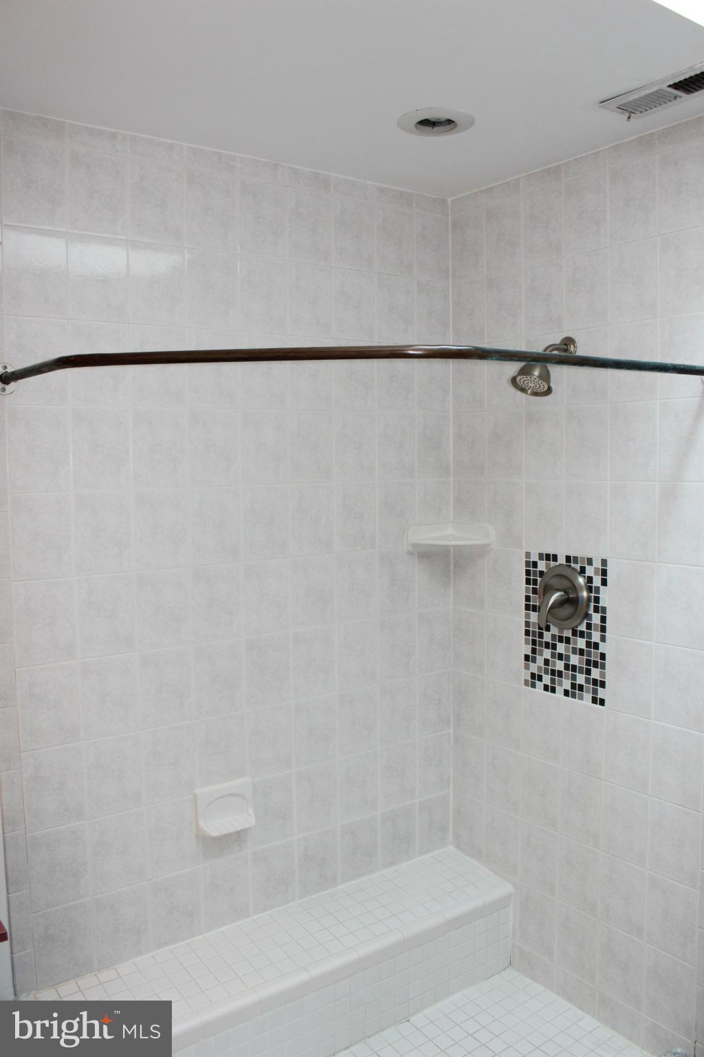 33258 Fox Road Easton, MD 21601 - Photo 13 of 23 Bath (Master)