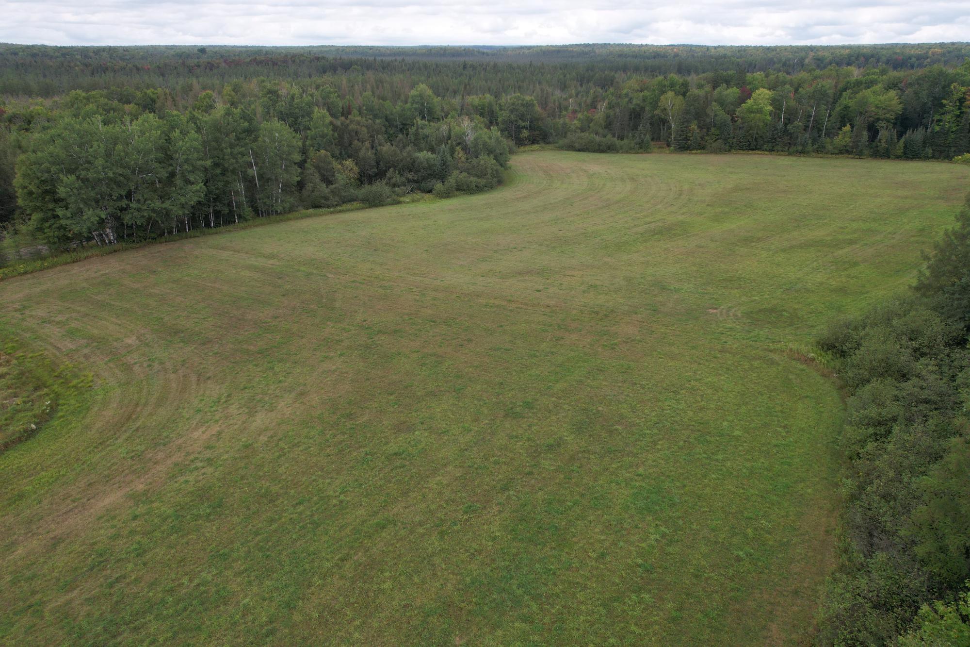 40-ac On Wagner Vogt Road Butternut, WI 54514 - Photo 14 of 25 Gallery Image 14