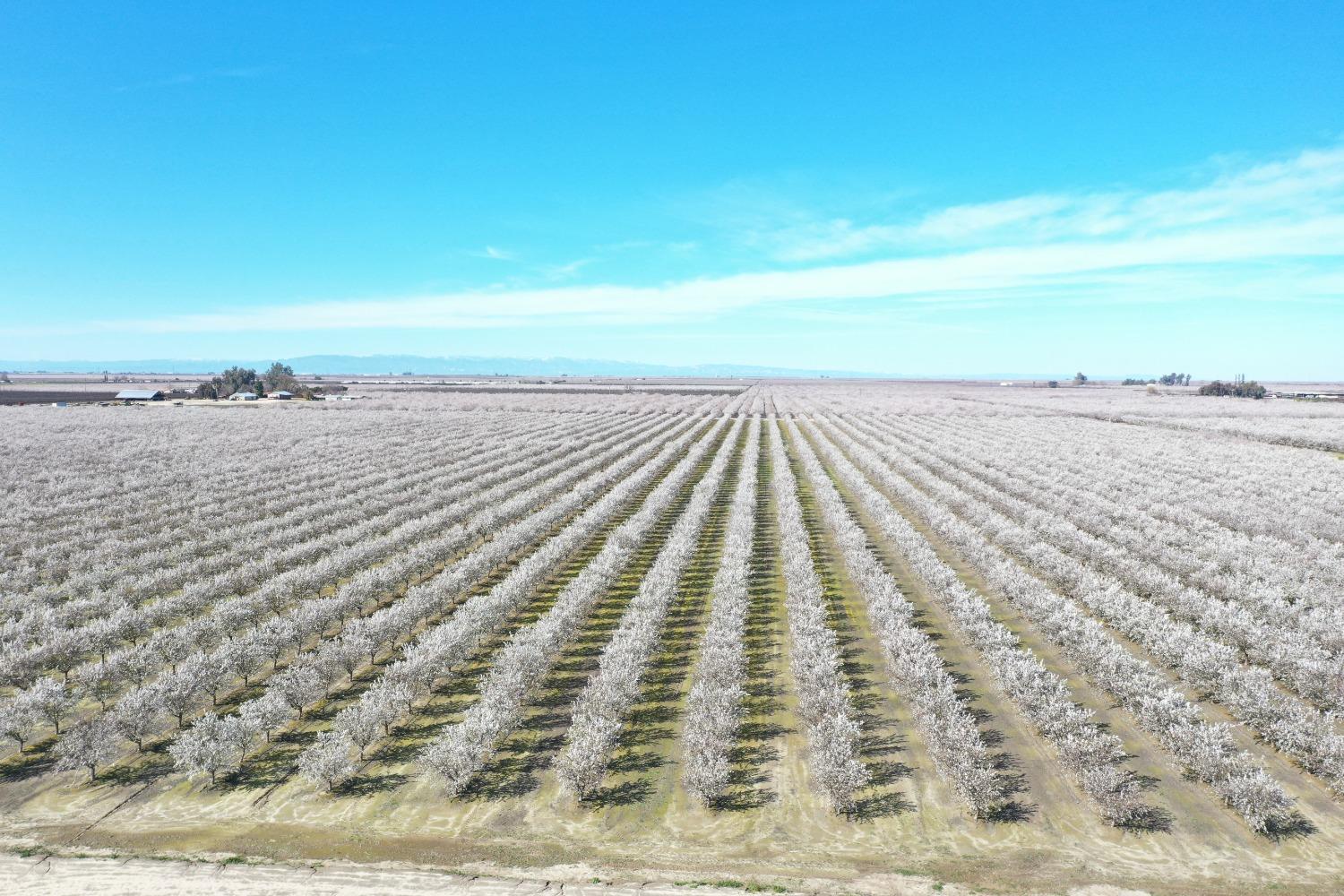 16452 South Marks Avenue Caruthers, CA 93609 - Photo 1 of 7 a view of ocean view with beach