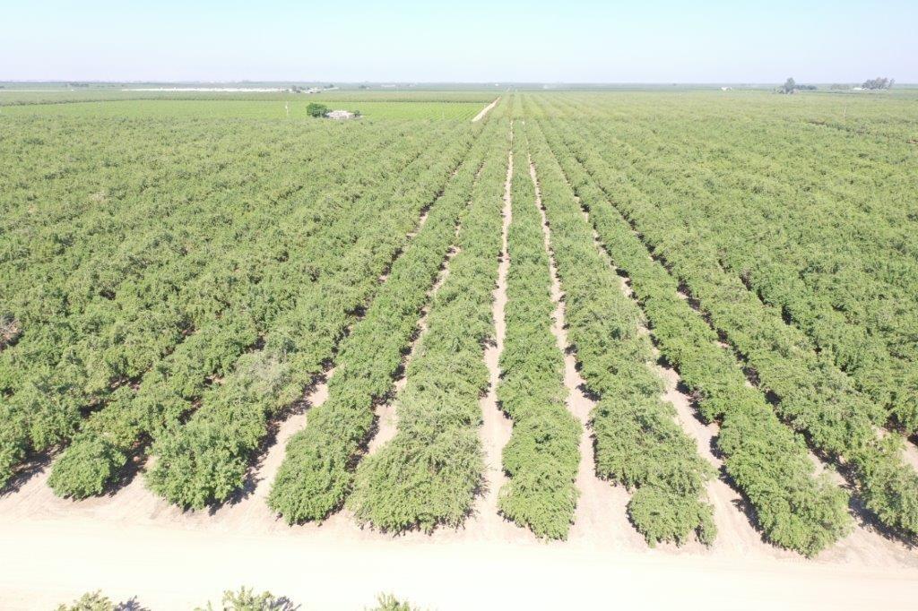 16452 South Marks Avenue Caruthers, CA 93609 - Photo 7 of 7 a view of an ocean