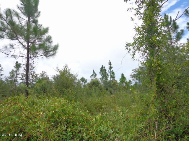 0 Northwest Pawnee Road, Unit LOT 6 Fountain, FL 32438 - Photo 4 of 10 Gallery Image 4