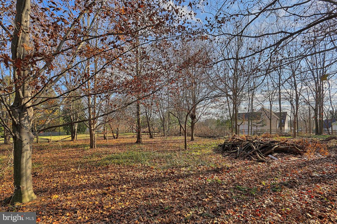 181 Windover Turn Lancaster, PA 17601 - Photo 54 of 58 a backyard of a house with lots of green space