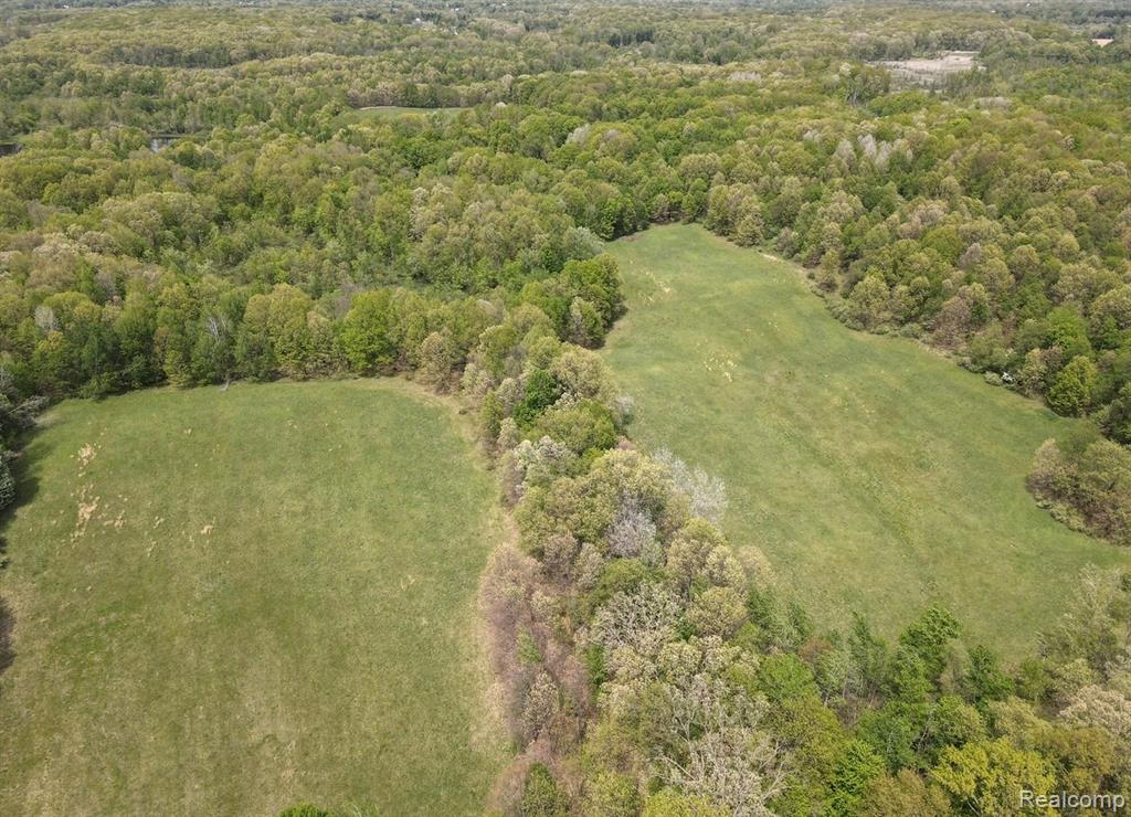 8450 Pepper Road Davisburg, MI 48350 - Photo 10 of 12