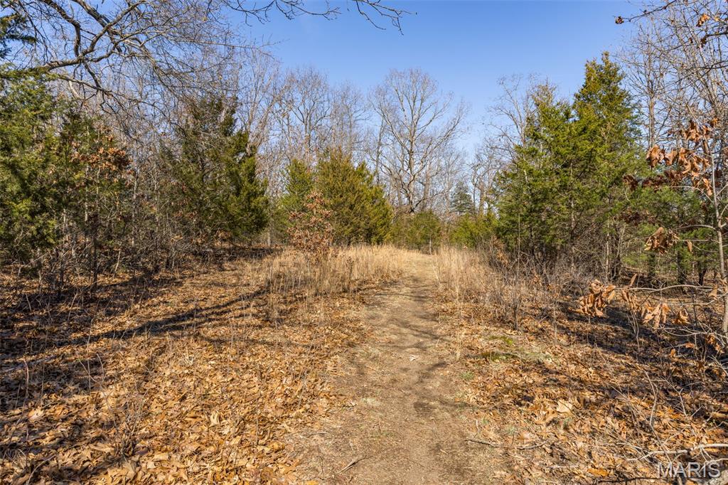 Lot 15 Ozark Heights Road Mineral Point, MO 63660 - Photo 3 of 6