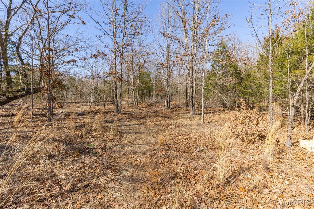 Lot 15 Ozark Heights Road Mineral Point, MO 63660 - Photo 5 of 6