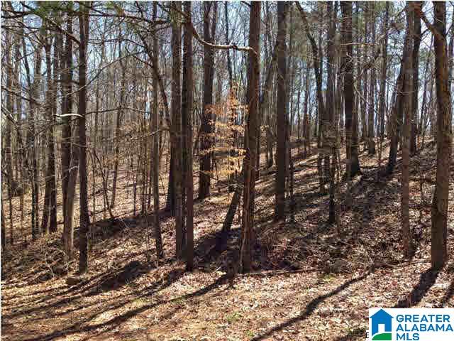 0 Woolfolk Road, Unit 3 ACRES Munford, AL 36268 - Photo 17 of 24