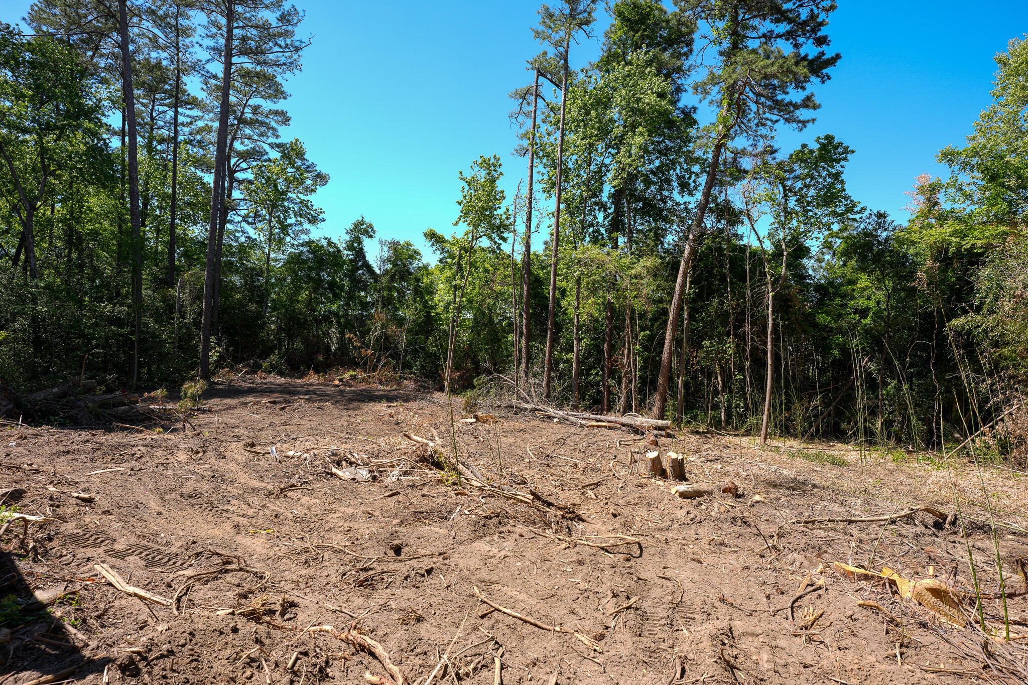 3215 Skinner Mill Road Augusta, GA 30909 - Photo 26 of 30 IMG_9539