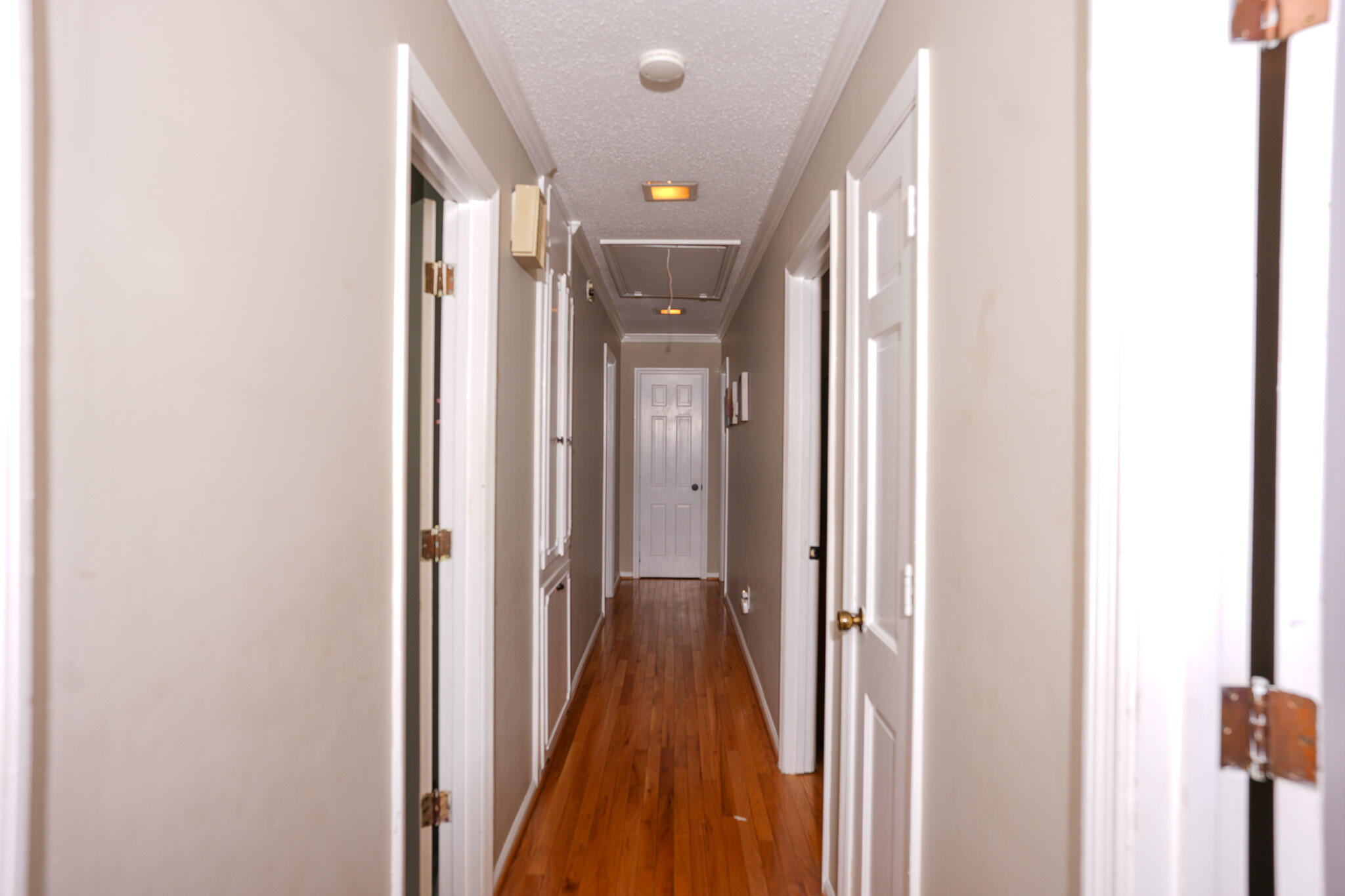 3215 Skinner Mill Road Augusta, GA 30909 - Photo 5 of 30 IMG_9526