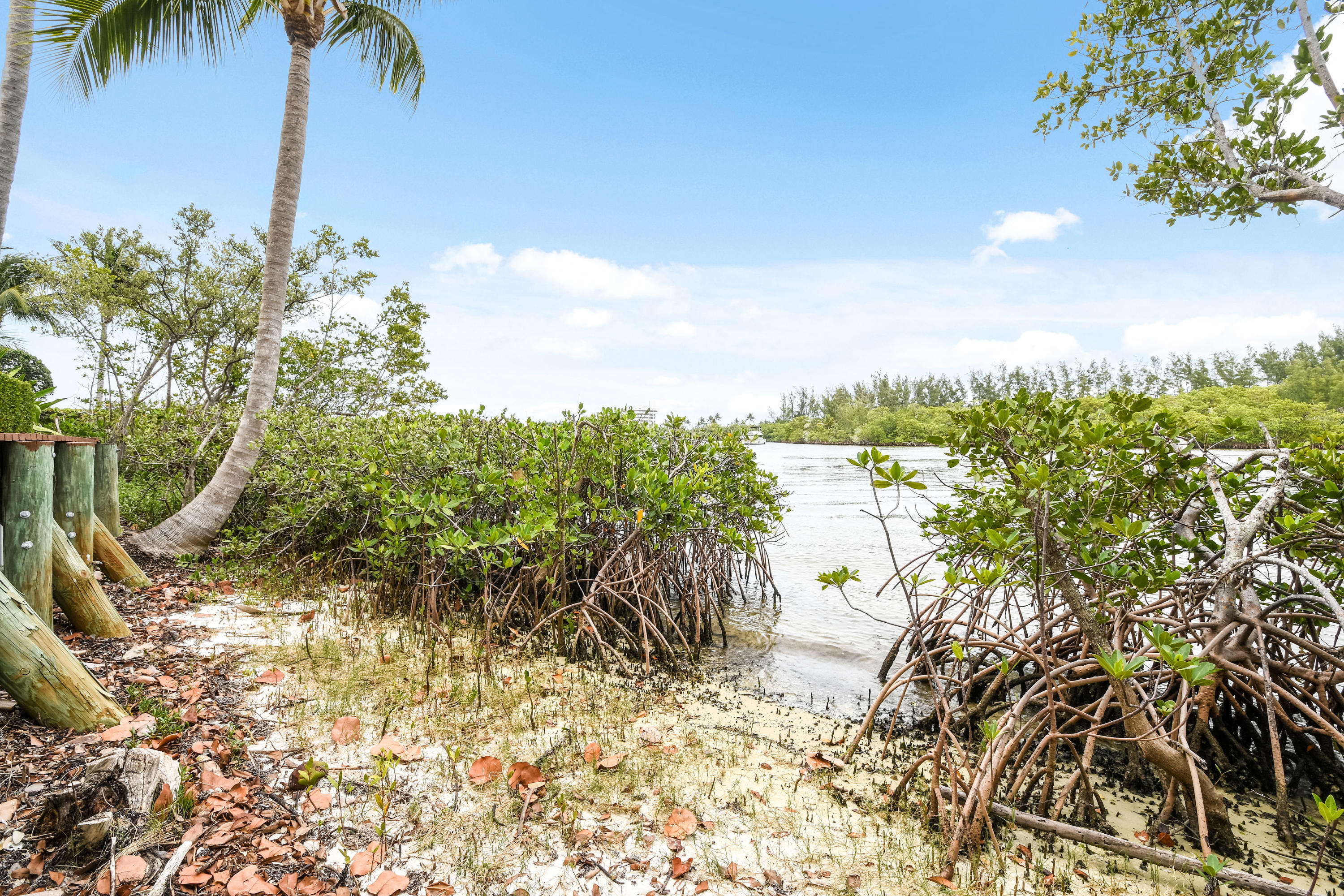 403 Old Jupiter Beach Road Jupiter, FL 33477 - Photo 24 of 27 403OldJupiterRoad(75)