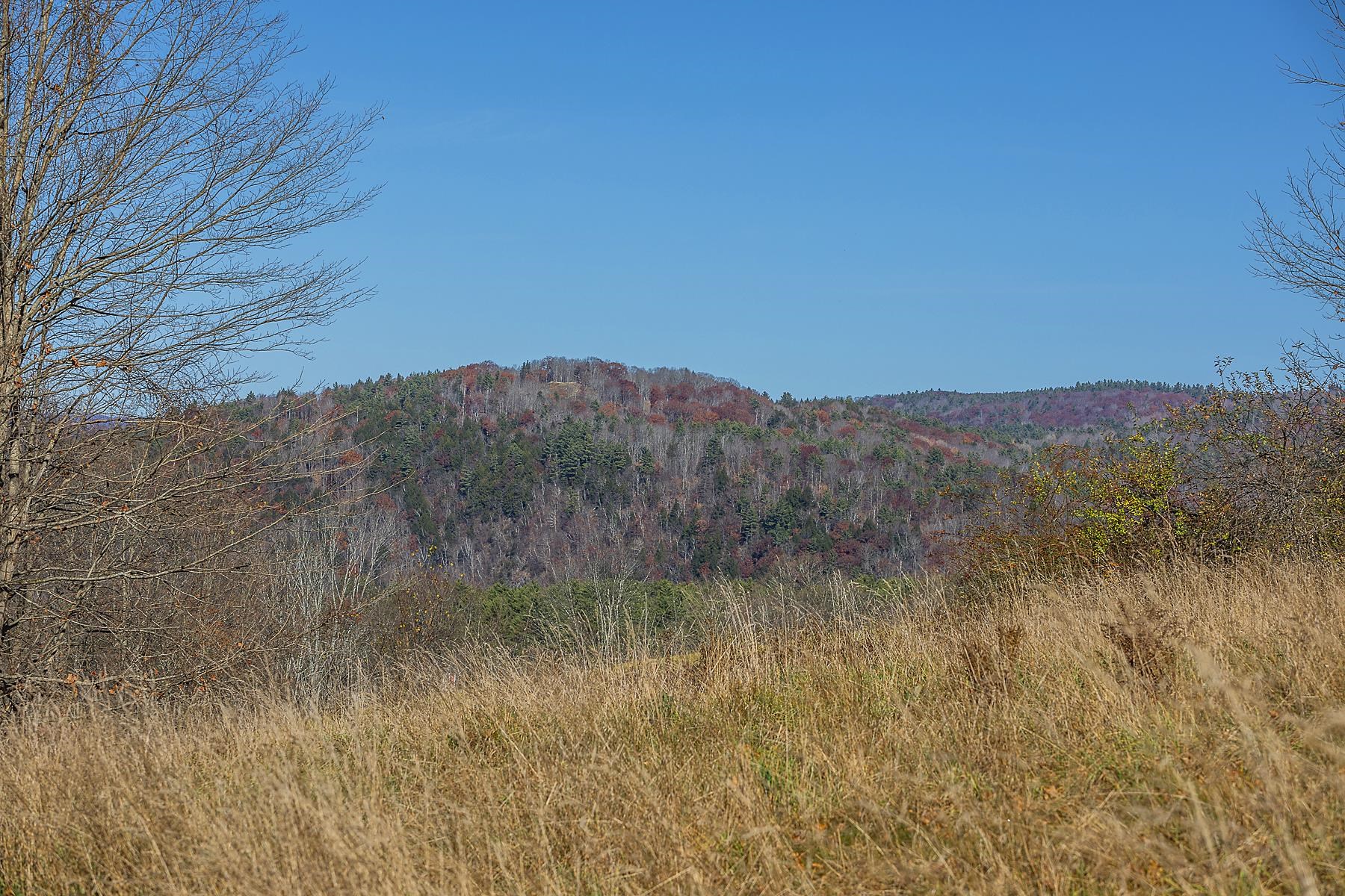 62 Grout Road Hartland, VT 05048 - Photo 14 of 40