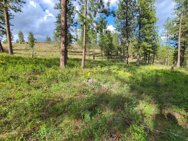 $76,500 | 1612 Palmer Lane, Chewelah, WA 99109