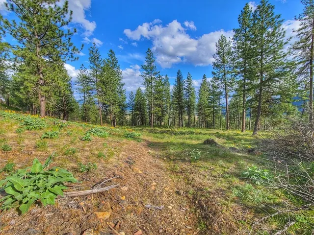 $76,500 | 1612 Palmer Lane, Chewelah, WA 99109