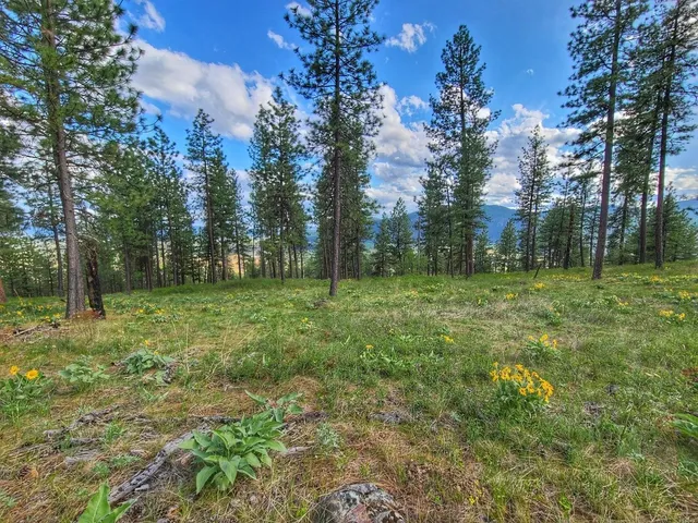 $76,500 | 1612 Palmer Lane, Chewelah, WA 99109