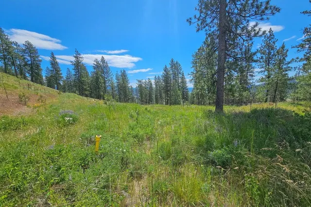 $76,500 | 1612 Palmer Lane, Chewelah, WA 99109