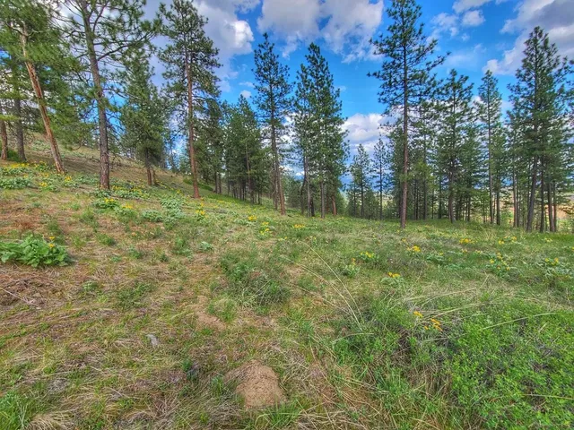 $76,500 | 1612 Palmer Lane, Chewelah, WA 99109