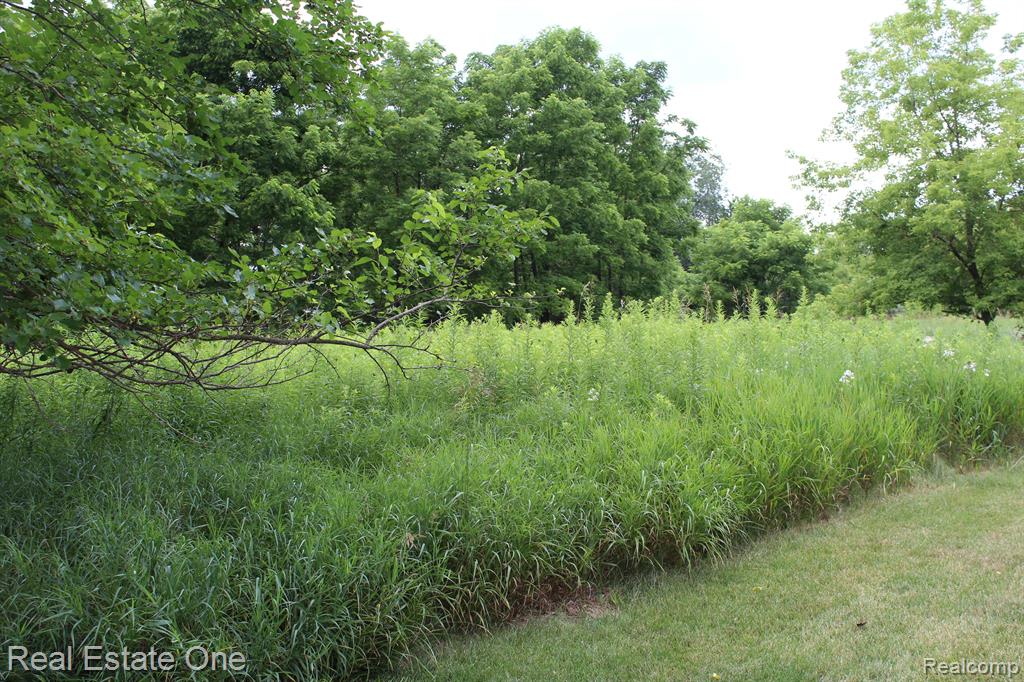 0 Norton Road Howell, MI 48843 - Photo 12 of 26 Gallery Image 12