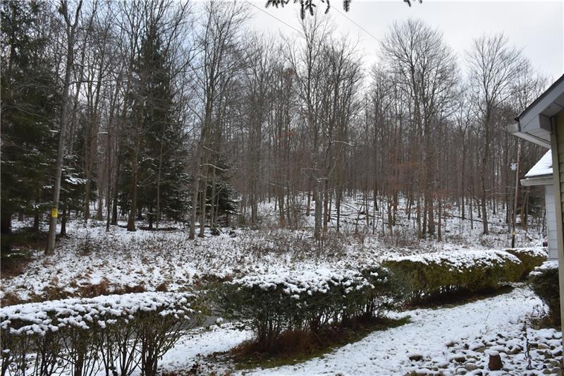 2030 Millen Road Shelocta, PA 15774 - Photo 7 of 13