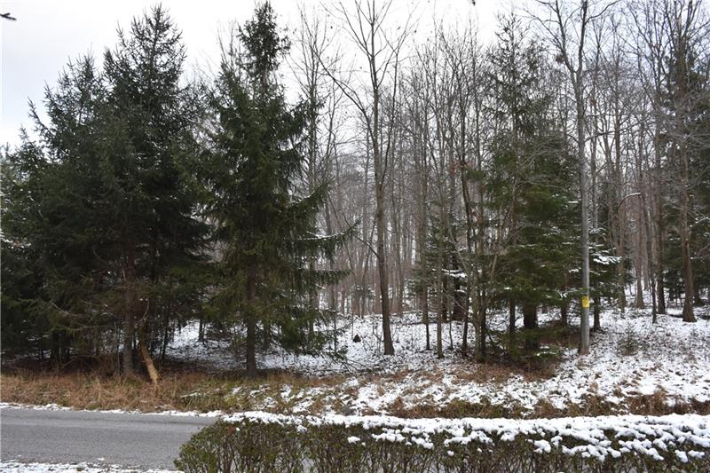 2030 Millen Road Shelocta, PA 15774 - Photo 8 of 13