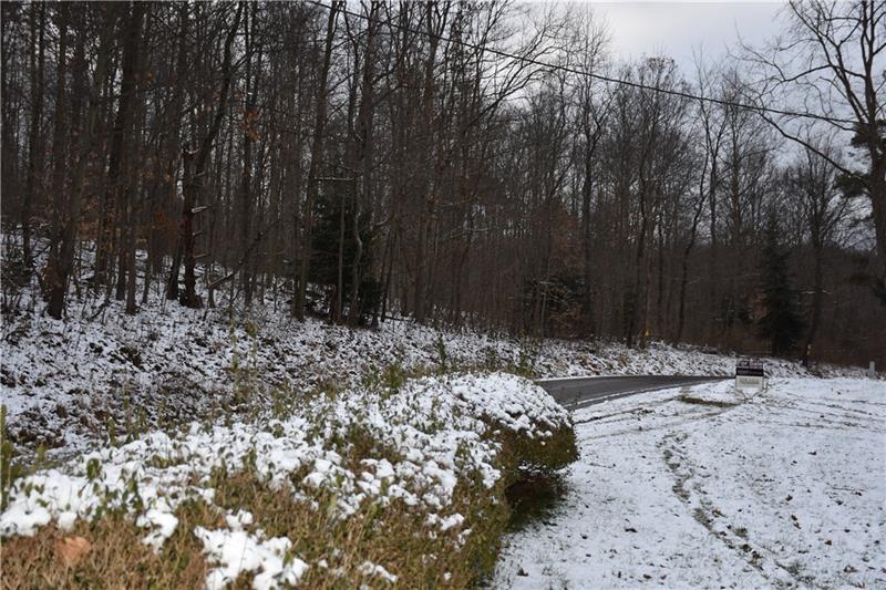 2030 Millen Road Shelocta, PA 15774 - Photo 9 of 13