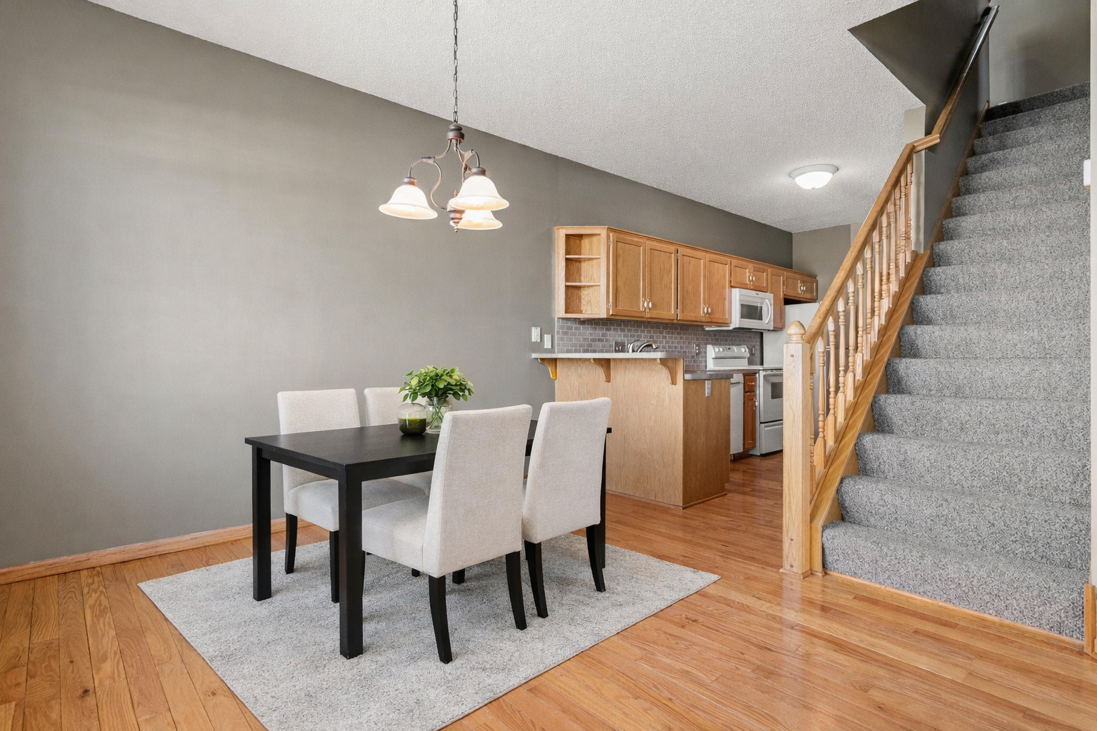 12739 Drake Circle Coon Rapids, MN 55448 - Photo 4 of 19