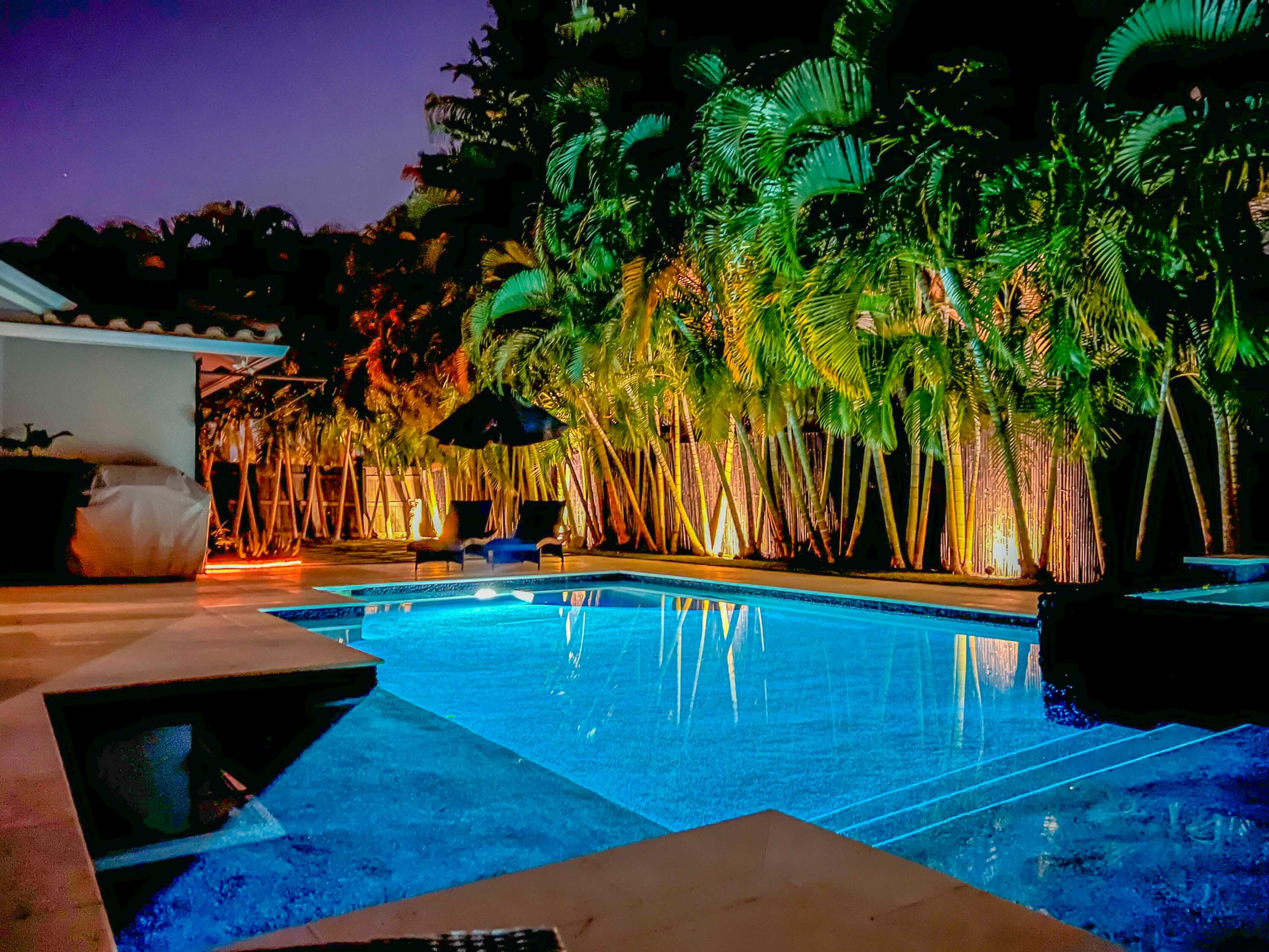 a view of a backyard