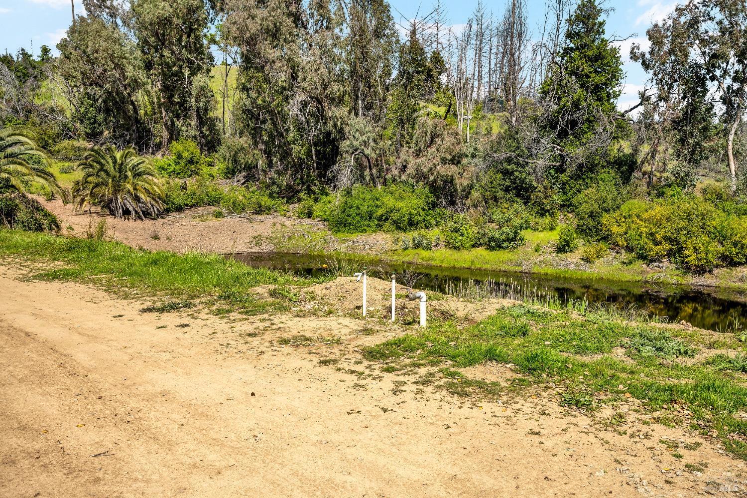 7777 Mill Creek Road Healdsburg, CA 95448 - Photo 14 of 18 a view of swimming pool with a yard