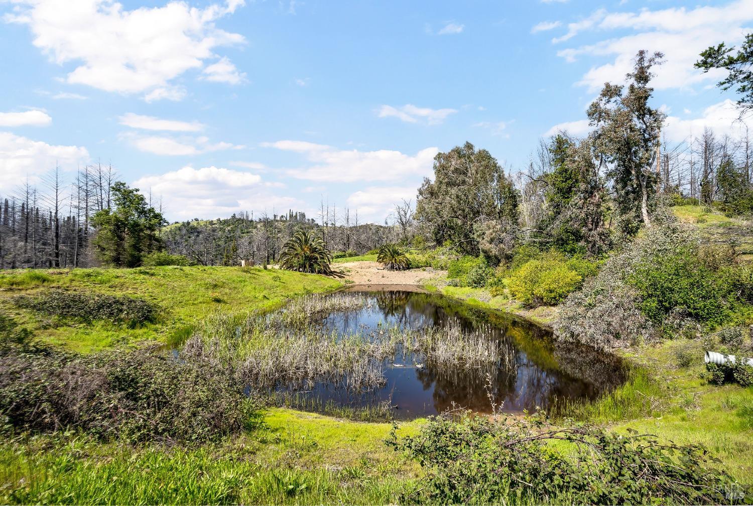 7777 Mill Creek Road Healdsburg, CA 95448 - Photo 15 of 18 a view of a lake with a big yard