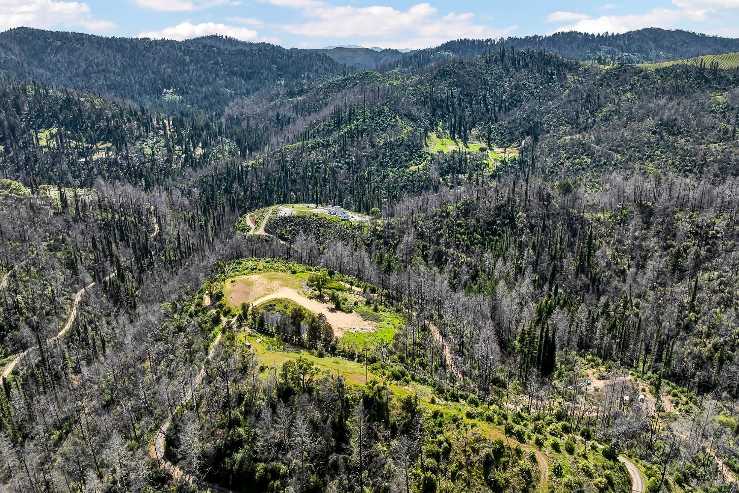 7777 Mill Creek Road Healdsburg, CA 95448 - Photo 5 of 18 a view of a lush green forest with mountains in the background
