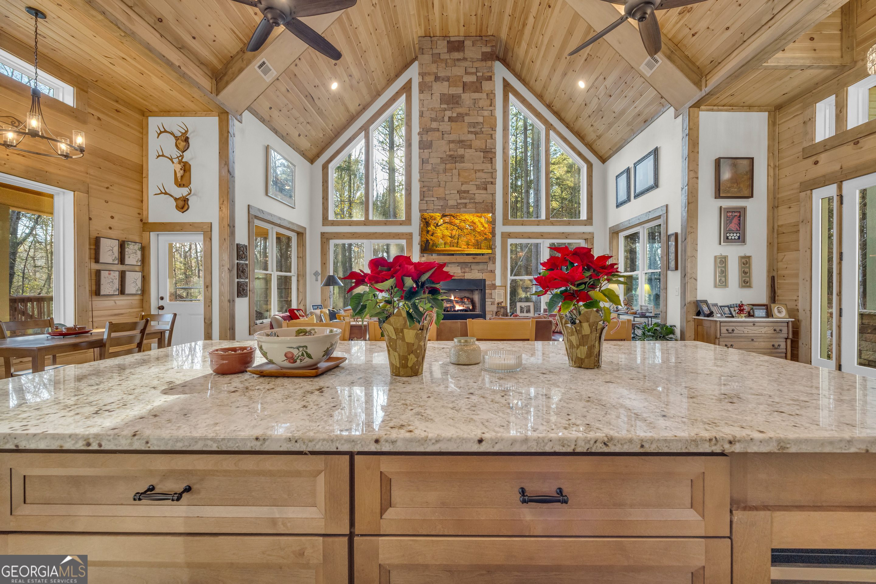 1019 Hornets Bridge Road Elberton, GA 30635 - Photo 22 of 85