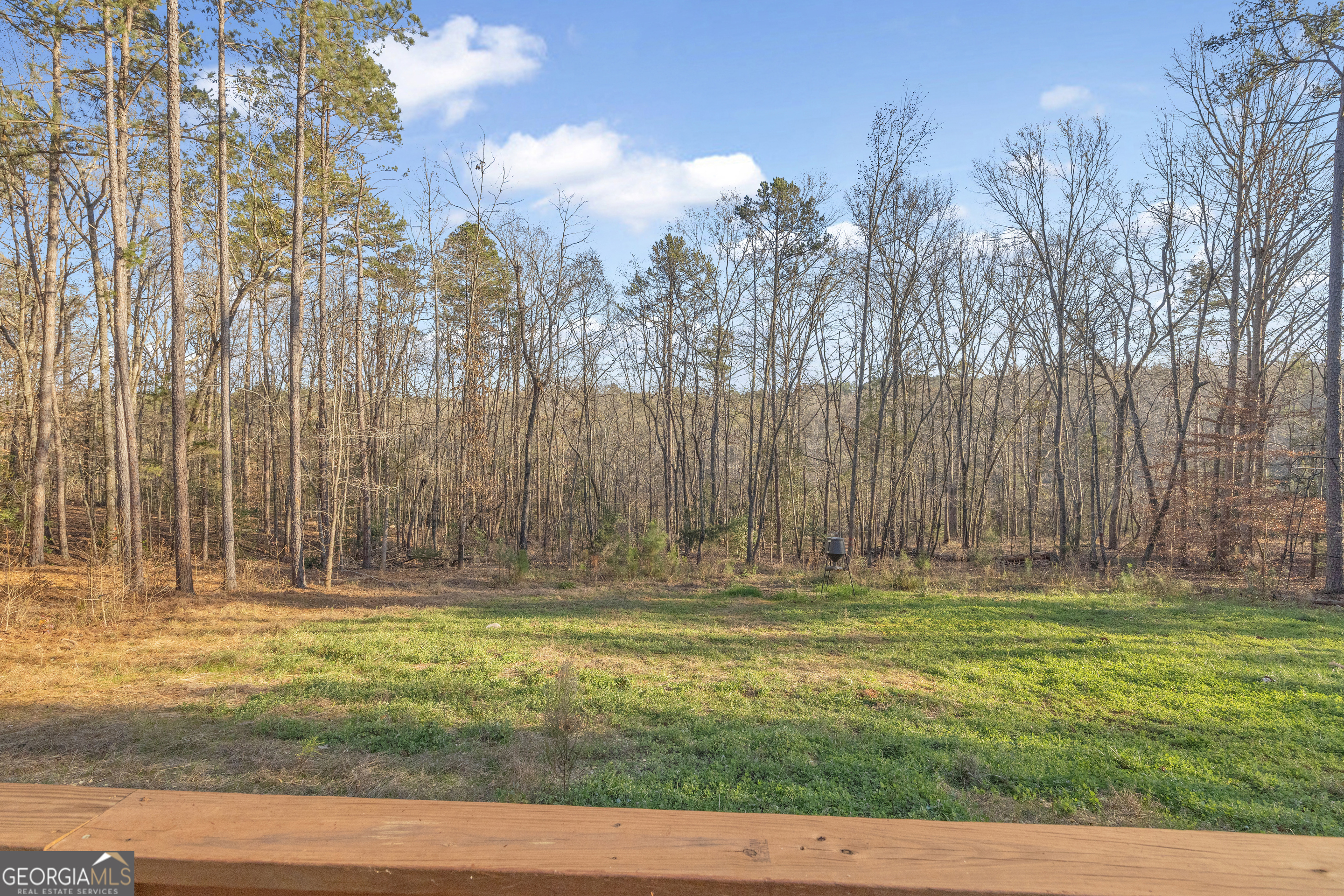 1019 Hornets Bridge Road Elberton, GA 30635 - Photo 68 of 85