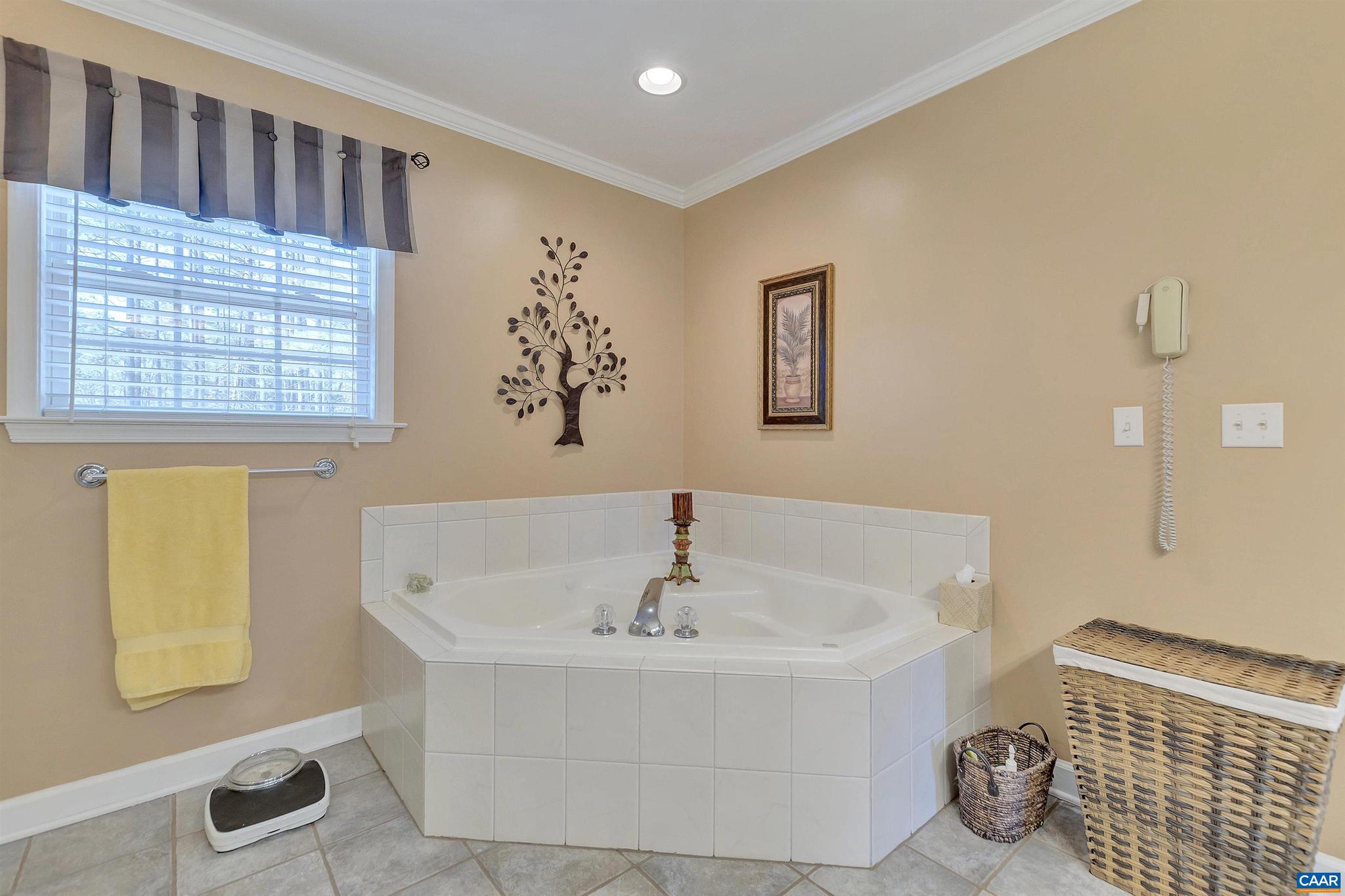 157 Foxmoor Road Troy, VA 22974 - Photo 38 of 60